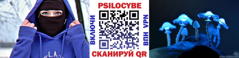 наркота  Красный Сулин  Галлюциногенные грибы Psilocybe 